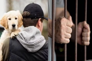 நாய்க்குட்டி கடத்திய இந்திய வம்சாவளியினருக்கு சிறை: கடன் பிரச்சினையால் ஏற்பட்ட சிக்கல்