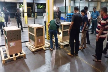 தாய்லாந்திலிருந்து இலங்கைக்கு கொண்டு வரப்பட்ட பறக்க முடியாத பறவை