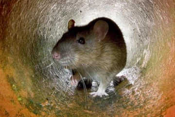 பிரித்தானிய மக்களுக்கு விடுக்கப்பட்ட எச்சரிக்கை!