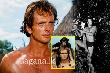 කවුරුත් ආදරේ කළ ටාසන් මියයයි.