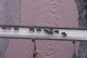 அப்பாடா ஒரு வழியாஅவங்க இடத்துக்கு போயிட்டாங்களா ?.. நிம்மதி பெருமூச்சு விட்ட சீனா !