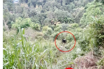 300 அடி பள்ளத்தில் பாய்ந்த கார் ; மயிரிழையில் உயிர் தப்பிய பயணிகள்