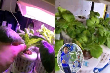 விண்வெளியில் விவசாயம்: பல நாடுகளின் திட்டத்தை முறியடித்த சீனா