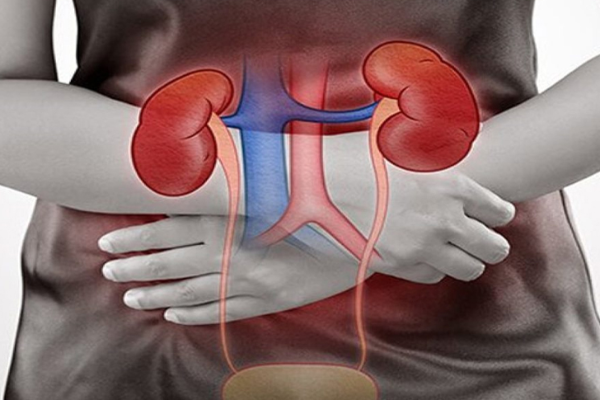 ඔයාටත් දැන් දැන් මේ ඉඟි ලැබෙනවා නම් වකුගඩුවල තත්ත්වේ භයානකයි | Night Urination Could Signal Kidney Damage