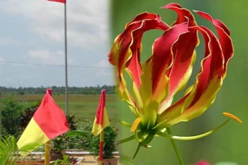 மாவீரர் நாள் 2023 : கவனிக்கப்படாத துயிலுமில்லங்கள்