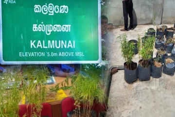 கல்முனையில் முற்றுகை இடப்பட்ட வீடு; பொலிஸாருக்கு காத்திருந்த அதிர்ச்சி