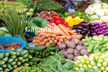 වෙනදා වගේ නෙමෙයි.. මෙදා සැරේ උත්සව සමය අවසන් වෙද්දිම එළවළු මිලට වුණ දෙය..