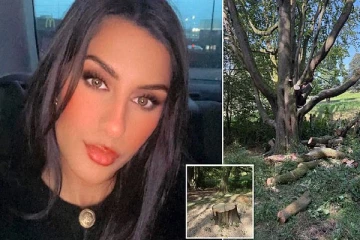 லண்டனில் பூங்காவிற்கு சென்ற குடும்பத்திற்கு சோகம் ; மகளை காப்பாற்றி விட்டு உயிரிழந்த தாய்