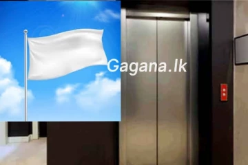 විදුලි සෝපානයක් කඩා වැටී හිටපු සෞඛ්‍ය ඇමතිවරයෙක් මියයයි.(PHOTOS)