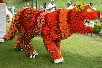 நீலகிரி மாவட்டத்திற்கு இன்று உள்ளூர் விடுமுறை