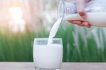 ஆரோக்கத்தை கொடுக்கும் பால் நஞ்சாகுமா? அதிகம் பருகாதீங்க ஆபத்தாம்