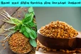 Fenugreek Seed: நீரிழிவு நோய்க்கு சிறந்த தீர்வு தரும் வெந்தயம்! வெறும் வயிற்றில் சாப்பிடுங்க
