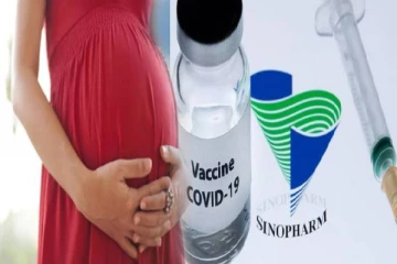 சினோபார்ம் தடுப்பூசி யாரெல்லாம் போடக்கூடாது? கர்ப்பிணிகளுக்கு என்ன சிக்கல்