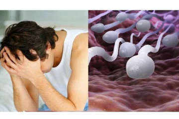 Night Shif வேலை பார்க்கும் ஆண்களுக்கு ஆண்மை குறைவு அதிகரிப்பு -வெளியான அதிர்ச்சி தகவல்!