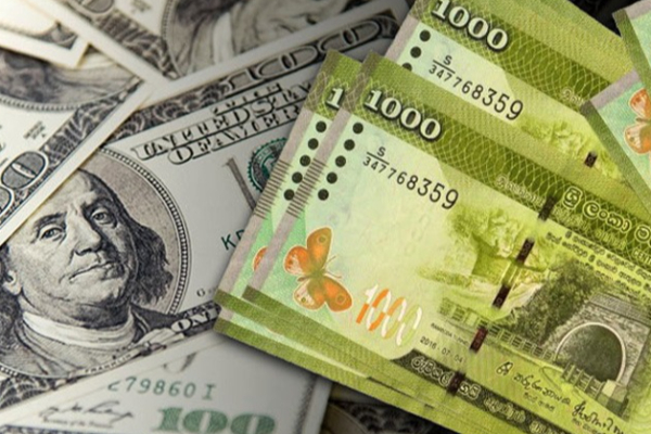 டொலருக்கு நிகரான ரூபாவின் பெறுமதியில் இன்று ஏற்பட்ட மாற்றம் | Dollar Rate In Sri Lanka Rupee Today Cbsl Report