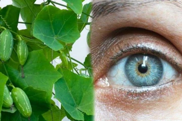 கண் பார்வை மங்குகிறதா? இதை ட்ரை பண்ணுங்கள்!