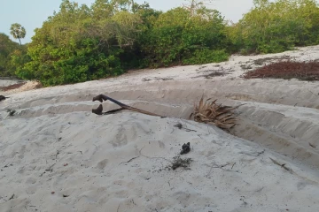 யாழில் அடங்காத மணல் மாபியாக்கள்; பிரதேச மக்கள் அச்சம்!