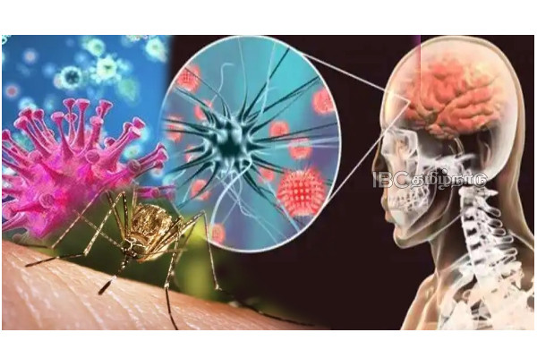 odisha-brain-fever-detected-5-students