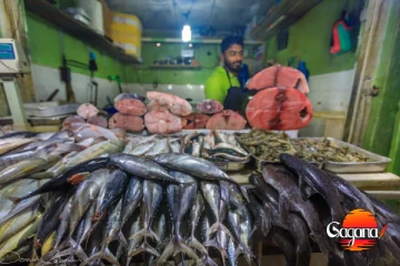 අයහපත් කාලගුණය හා ධීවර කටයුතු අඩාල වීමෙන් මාළු මිල ඉහළ යයි