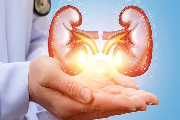 உங்கள் சிறுநீரகம் ஆரோக்கியமா இருக்க வேண்டுமா? காலை எழுந்ததும் இந்த தவறை செய்யாதீங்க | Morning Habits To Avoid To Keep Kidney Safe