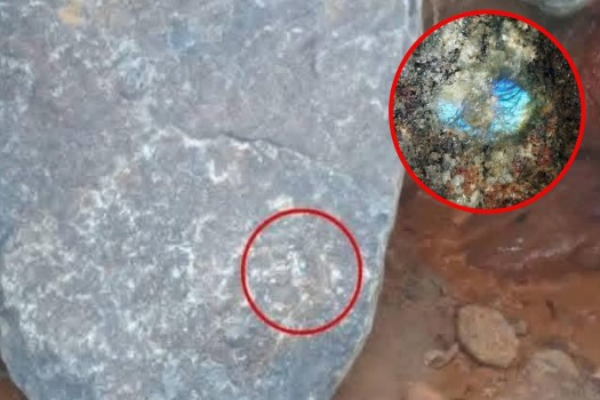 கலஹாவில் கண்டுபிடிக்கப்பட்ட பாறையின் சந்தைப் பெறுமதி இதுதான்! வெளியானது அறிக்கை | Value Of Gemstone Discovered In Kandy