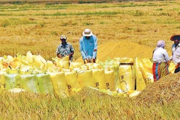 ගොවීන් සිව්දෙනකුගෙන් සුපිරි වාර්තාවක්..!