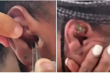 கடலுக்குள்ள நீச்சலடிக்க போன பெண்ணுக்கு காத்திருந்த அதிர்ச்சி....காதுக்குள் இருந்து துள்ளி குதித்த நண்டு