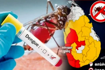 டெங்கு உயிரிழப்புக்களின் எண்ணிக்கையில் அதிகரிப்பு - வெளியாகியுள்ள தகவல்