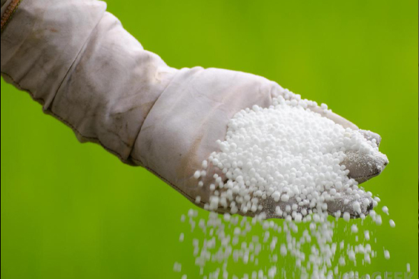 பல உர வகைகளின் விலை குறைப்பு | Reduction In Prices Of Fertilizers