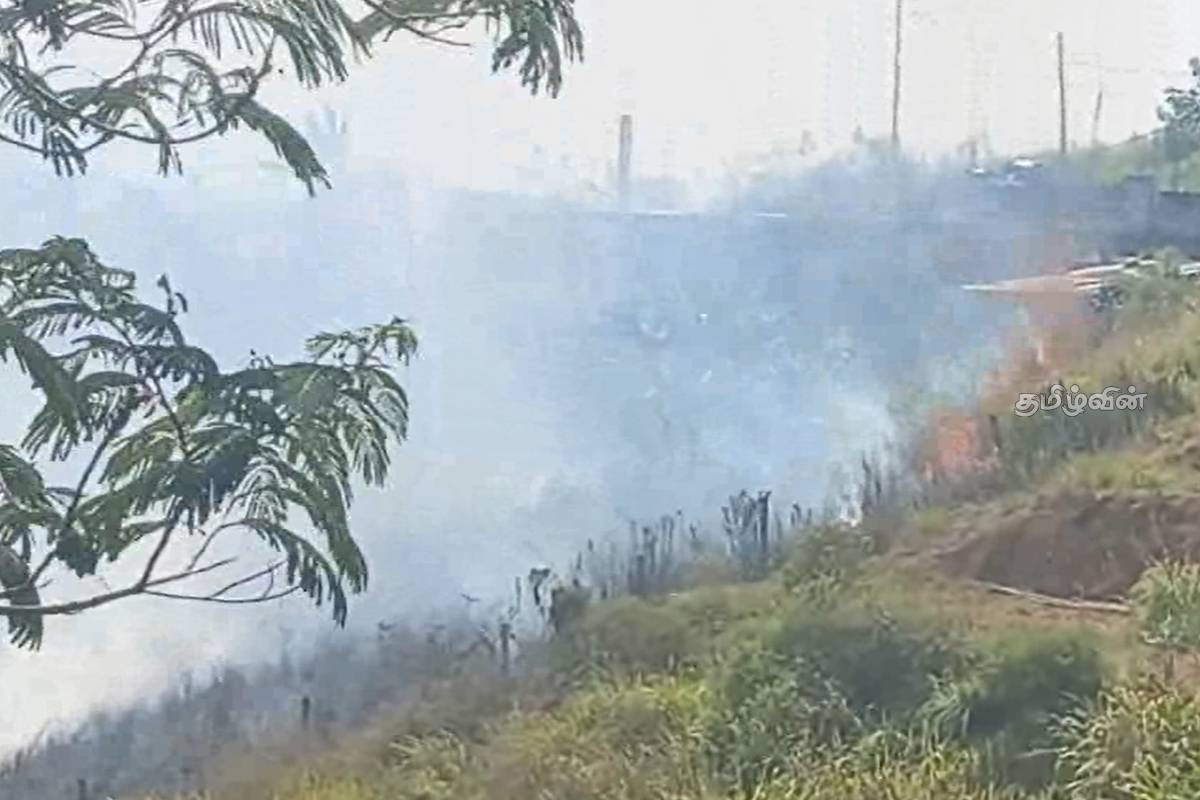 காடுகளுக்கு தீ வைப்பவர்களை உடன் கைது செய்யுங்கள்! பொது மக்கள் கோரிக்கை | Public Demand Arrest Of Forest Arsonists Ruwanpura