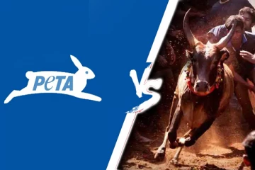 அடங்காத பீட்டா! ஜல்லிக்கட்டுக்கு தடை விதிக்க சீராய்வு மனு