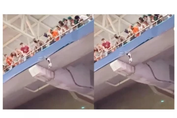 மாடி உச்சியிலிருந்து கீழே விழுந்த பூனை - அடுத்து நடந்த ஆச்சரியம் - வைரல் வீடியோ