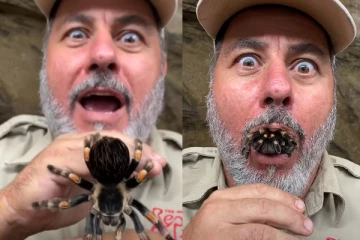 கொடூரமான கருப்புநிற சிலந்தியை வாயில் இருந்து எடுக்கும் நபர்! வைரலாகும் வீடியோ