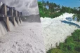 தென்பெண்ணை ஆற்றில் நச்சு நுரை விவகாரம் - இரு மாநில அரசுகளுக்கு தேசிய பசுமை தீர்ப்பாயம் முக்கிய உத்தரவு