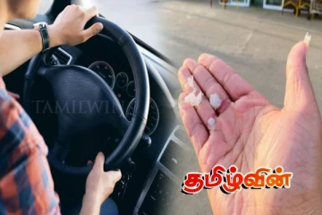 நுவரெலியாவில் தொடரும் உறைபனி பொழிவு: சாரதிகளுக்கு விடுக்கப்பட்ட எச்சரிக்கை