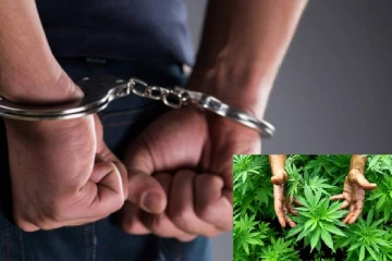 இலங்கையில் கஞ்சா செடி வளர்த்த அமெரிக்கர்