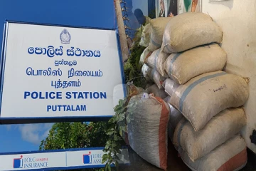 இந்தியாவிலிருந்து சட்டவிரோதமாக கொண்டுவரப்பட்ட மஞ்சள் உட்பட போதைப்பொருட்கள் மீட்பு