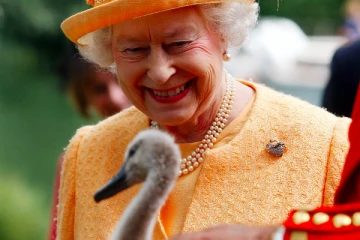 அரண்மனையில் கருணைக்கொலை; பெரும் கவலையில் மகாராணியார்!