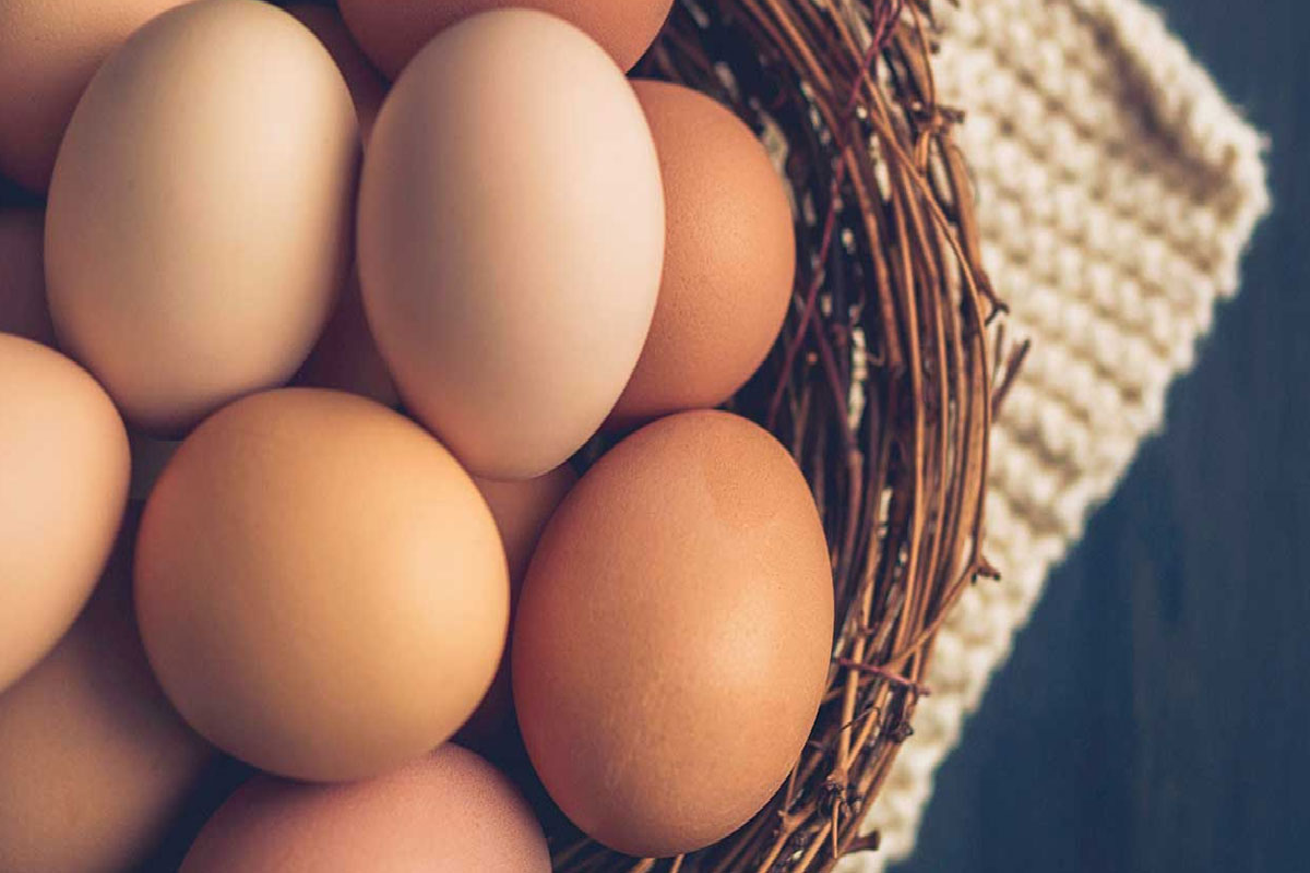 இலங்கையில் நாளை முதல் அதிகரிக்கும் முட்டையின் விலை | Egg Prices To Increase In Sri Lanka From Tomorrow இலங்கையில் நாளை முதல் அதிகரிக்கும் முட்டையின் விலை | Egg Prices To Increase In Sri Lanka From Tomorrow