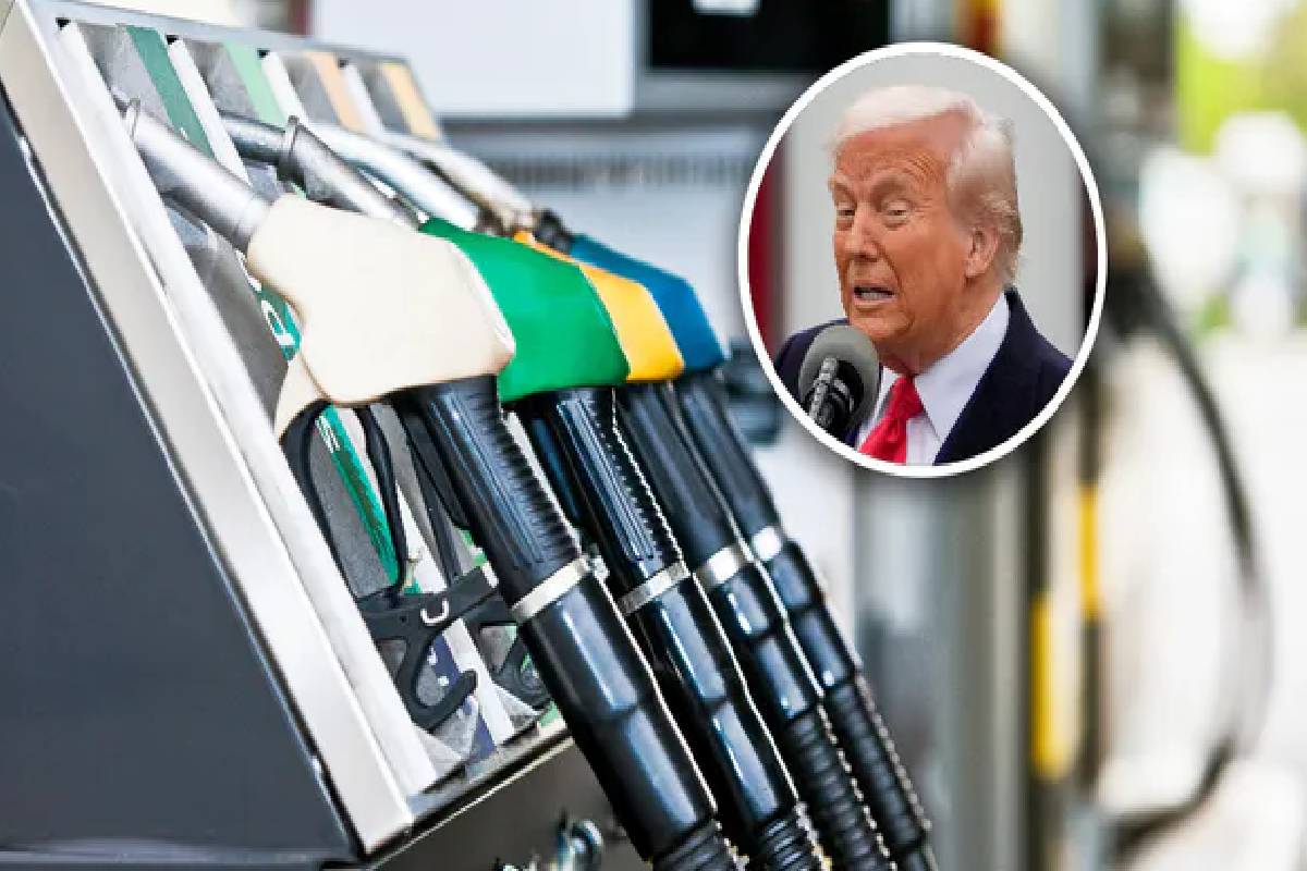 எரிபொருள் விலை உயர்வில் அமெரிக்கா இலாபம் ஈட்ட முடியும் ; ட்ரம்ப் கருத்து | Us Can Profit From Rising Fuel Prices Trump