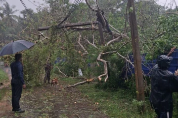 யாழ்ப்பாணத்தில் கடும் மழை; வீதிக்கு குறுக்கே முறிந்து விழுந்த மரம்