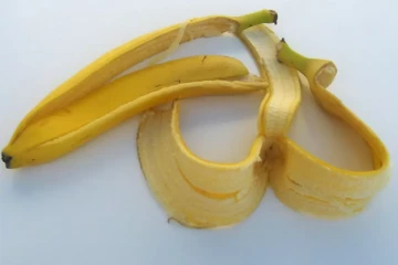 வாழைப்பழ தோலை கூட சாப்பிடலாமா? இவ்வளவு நன்மைகள் இருக்கா!