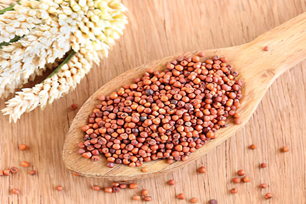 சிறுதானியங்களை உணவில் சேர்ப்பதால் கிடைக்கும் பலாபலன்கள்! | Millet Is The Solution To All Problems
