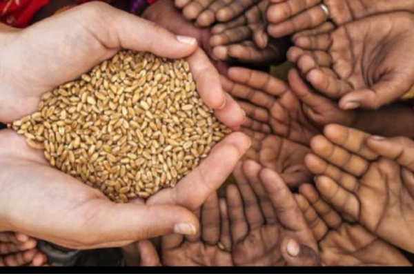 சிறிலங்காவின் உணவுப் பாதுகாப்பின்மை தொடர்பான ஊடக அறிக்கைகளுக்கு அதிபர் அலுவலகம் மறுப்பு | Sri Lanka Food Insecurity Food Hunger Relief
