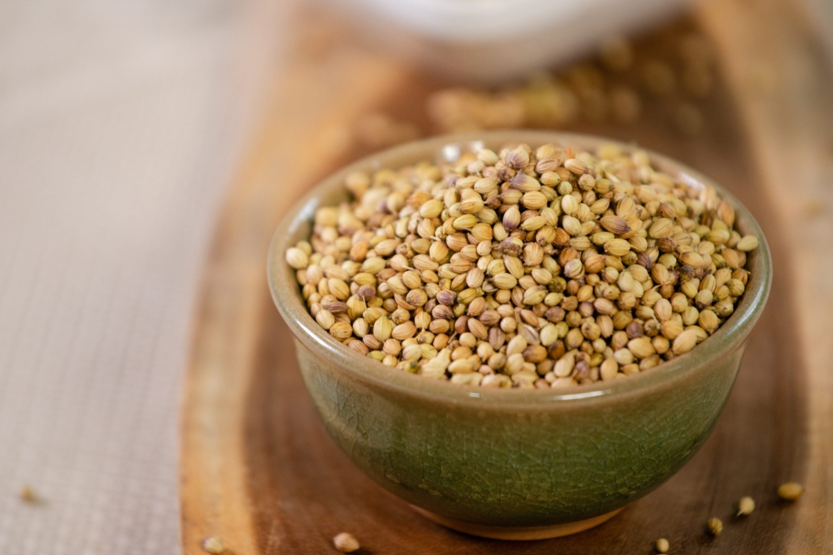 சிறுநீரகங்களின் நச்சுக்களை நீக்க உதவும் 5 உணவுகள்.., அவசியம் தெரிஞ்சிக்கோங்க | 5 Best Foods That Support Kidney Function