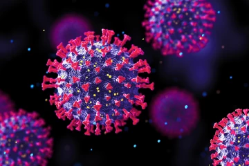 දරුණු ඉන්ෆ්ලු‍වෙන්සා වෛරසයක් පැතිරෙයි - දරුවන් ආරක්ෂා කර ගැනීමට පියවර