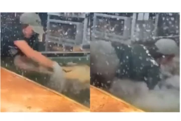 முதலைக்கு உணவு கொடுத்த பெண் - கையோடு சேர்த்து கடித்து இழுத்த முதலை - நெஞ்சை பதற வைக்கும் வீடியோ வைரல்