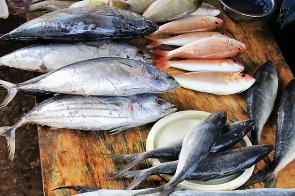 இலங்கையில் மீன்களின் விலை சடுதியாக அதிகரிப்பு | Fish Prices Increase Sharply In Sri Lanka