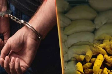 கற்பிட்டியில் பெருந்தொகை மஞ்சளுடன் ஐந்து பேர் கைது