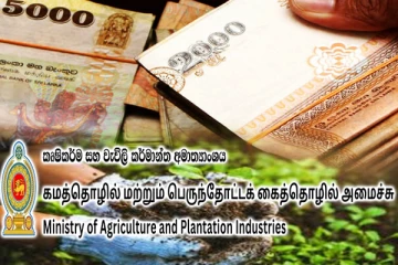 விவசாயிகளுக்கு 1 இலட்சம் ரூபா விசேட இழப்பீடு: சமர்ப்பிக்கப்பட்ட அமைச்சரவை பத்திரம்